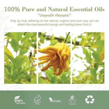 Bulk Wholesale Pure Nature Essential Oil Bergamot Oil For Hair Use