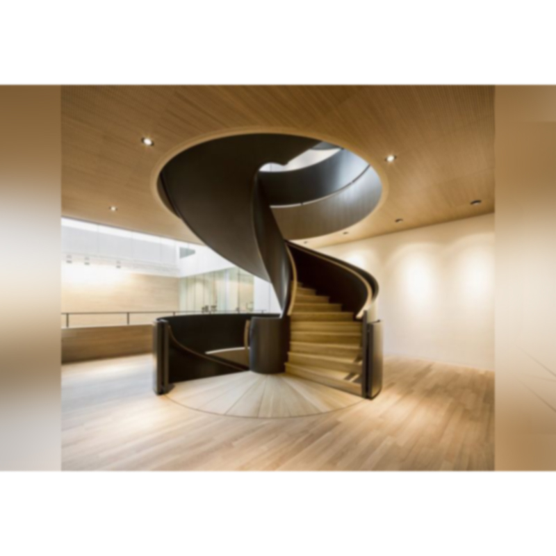 Spiral Stairs Staircase Treads Residential Villa Carbon