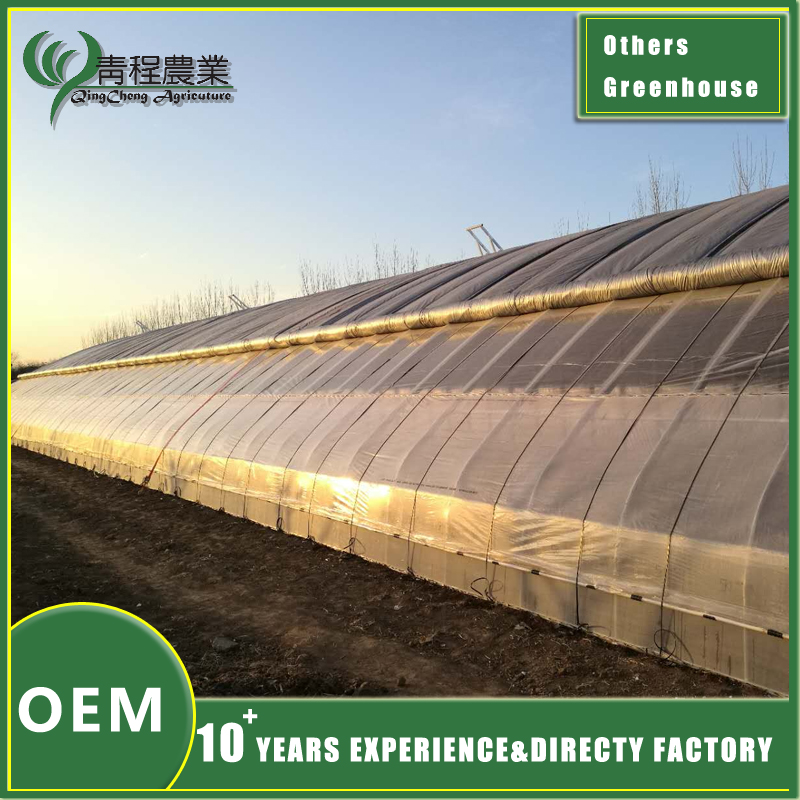 solar energy greenhouse