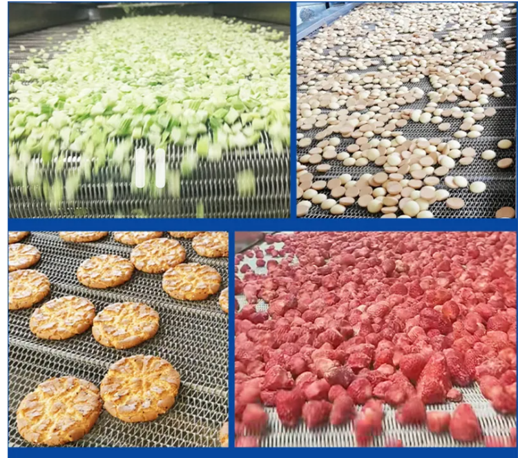 Belt conveyor