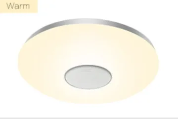 Smart LED Music Ceiling Lights