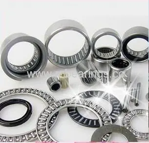 Hk 0606 Needle Roller Bearings 