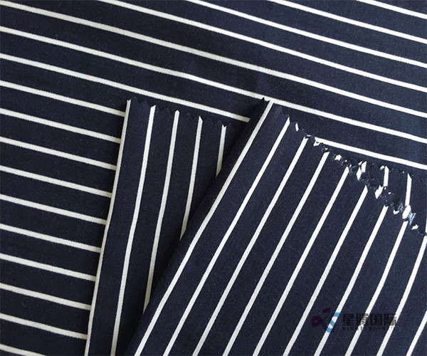 Stylish Stripe Rayon