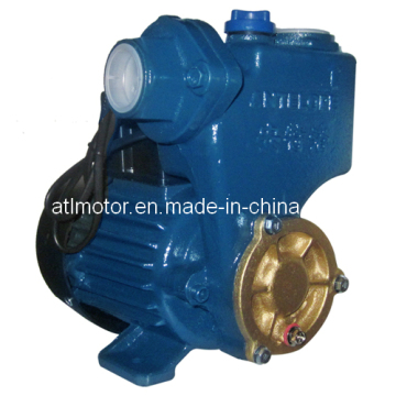 Water Pump -Self-Priming Peripheral Pump (ATL125A)