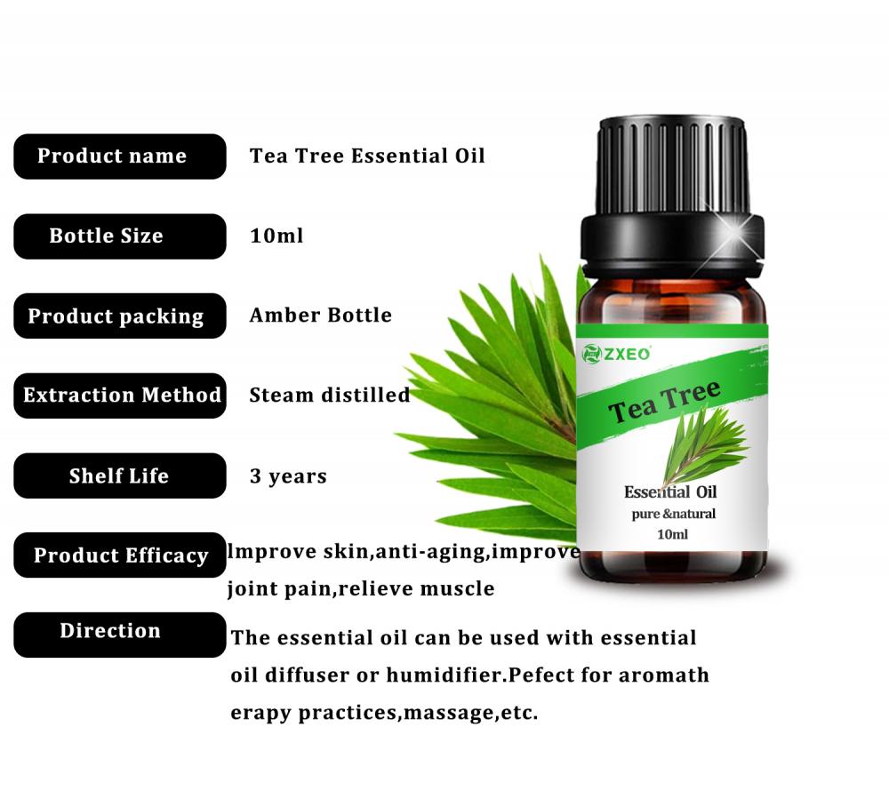 natural pure aromatheraphy Tea tree Essential oil for skin care