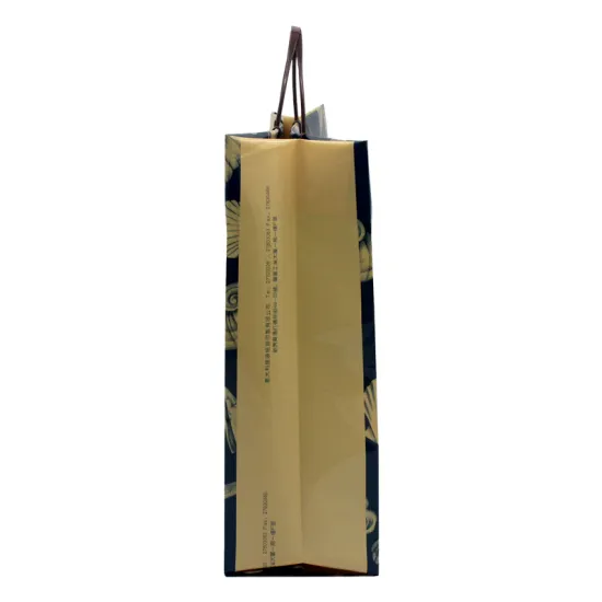 Rope Handle Plastic Gift Bag