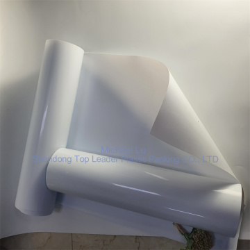 polypropylene sheet processed into thermoformed bottom trays