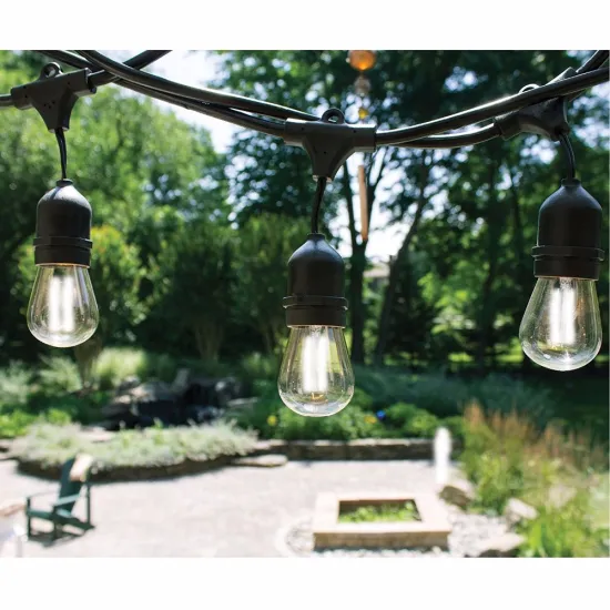 Cheap China supplier Christmas Festival Party Tree Decorative 10M 10 Leds AC 110V Lights led string 220V