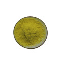 Sophora Japonica extrait 95% de quercétine 98%
