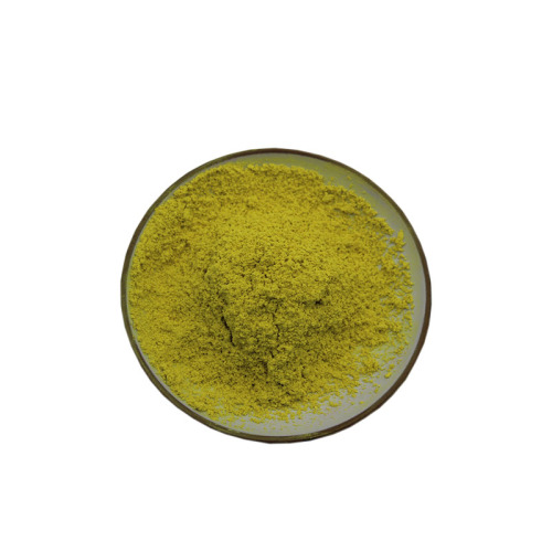 Natural Sophora Japonica Extract Sophora Japonica Extract 95% Quercetin 98% Supplier