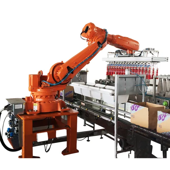 Famous Robotic Case Packer for Drinks Bottles and Food Pouches