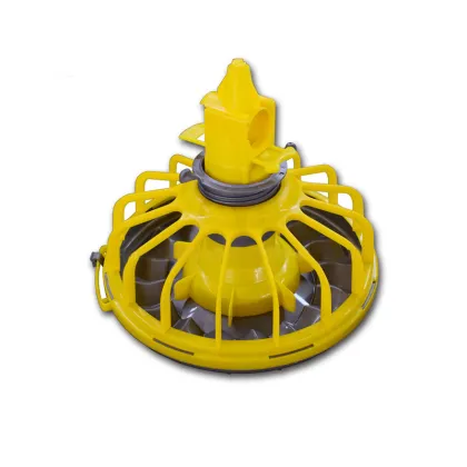 Modern Automated Broiler Chicken and Duck Farm Equipment: Complete Poultry Raising Systems