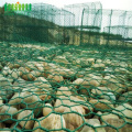 PVC tráng hộp lưới đá thủy tinh cho Gabion