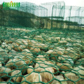 PVC Coated Box Mesh Glass Rock For Gabion