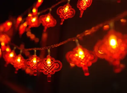 LED Chinese Knot Flashing Lights