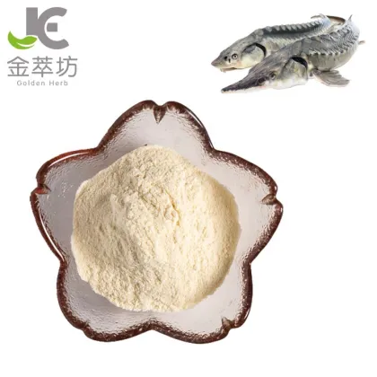 Factory supply sturgeon peptide powder 99% acipenser sinensis protein peptide powder