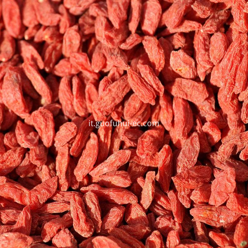 Red Goji Berry