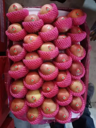 Plastic Bag FUJI Honey FUJI