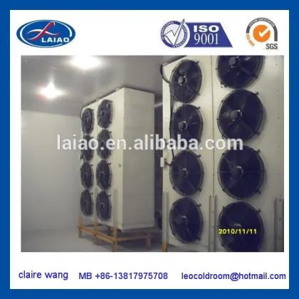 small blast freezer deep freezer freezer chambers