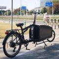 Cargo urbano Ebike Power Assisted Bicycle Smart Ecargo