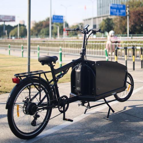 Carico Electric Family Carichi di carico Ebike 2 Wheelers