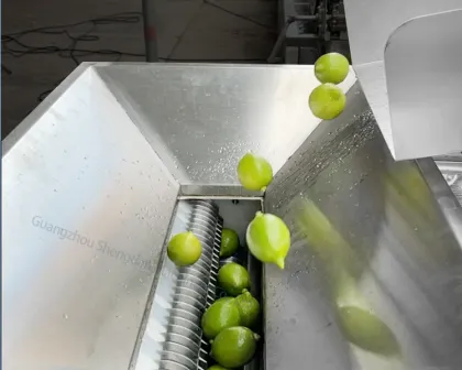 Industrial Lemon Juicer Lemon Squeezer