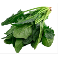 Biogrün -Gemüsepulver -Pulver -Spinat -Extraktpulver