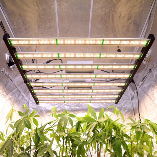 Lm301H LED dobrável Grow Light 8 tiras para plantas