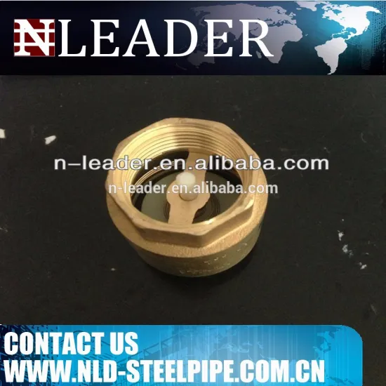 brass vertical check valve
