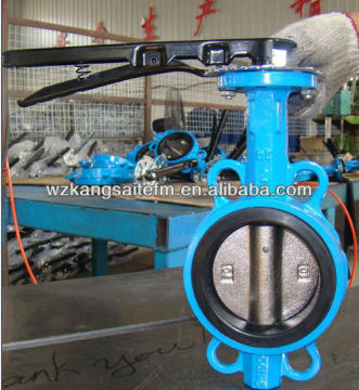 camaron butterfly valve EPDM lined