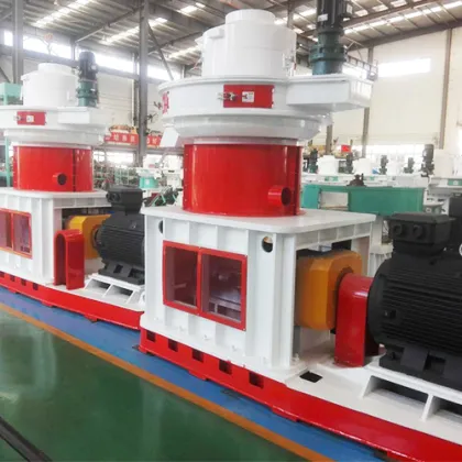 Biomass Fuel Pellets Machinery