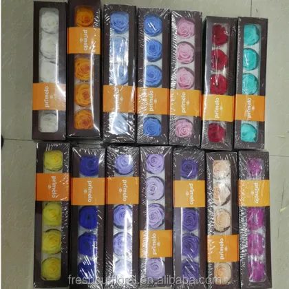 Kunming Wholesale Stabilized Flowers & Preserved Roses