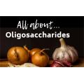 Prébiotiques organiques de maïs isomalto oligosaccharide