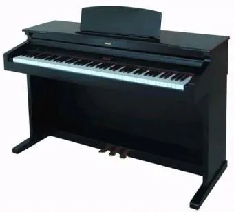 DP-8001 Electronic Digital Piano