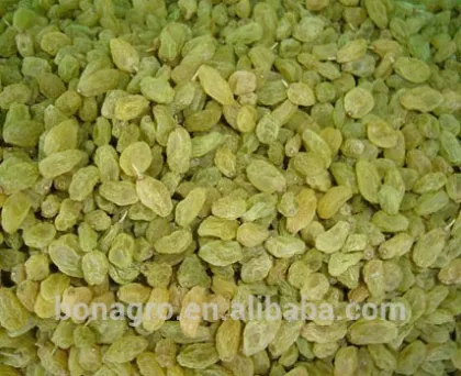 Green raisin,new crop