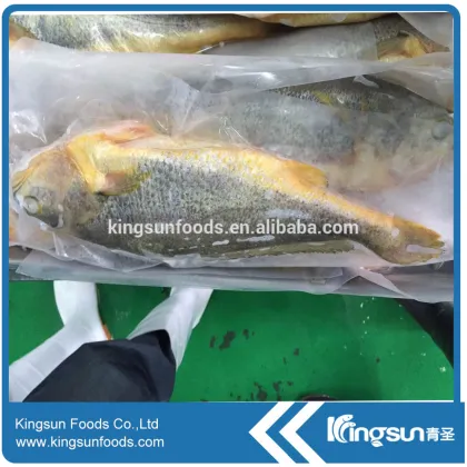 Frozen Yellow Croker