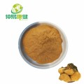 Phellinus linteus extrahieren 30% Polysaccharide