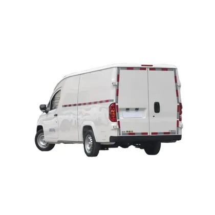 Electric Cargo Vans and Mini Vans: Prices for 2-Seater Electric Delivery Vans
