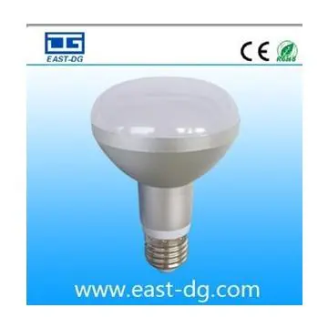 LED Bulb Light R80