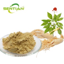 Natural Ginseng Extract Ginsenoside for Health Care