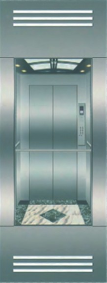 Oec Passenger Lift for Shoping Mall, Hotel, Plaza (OEC-G003)