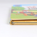Custom Color Hard Cover Children's Book Printing