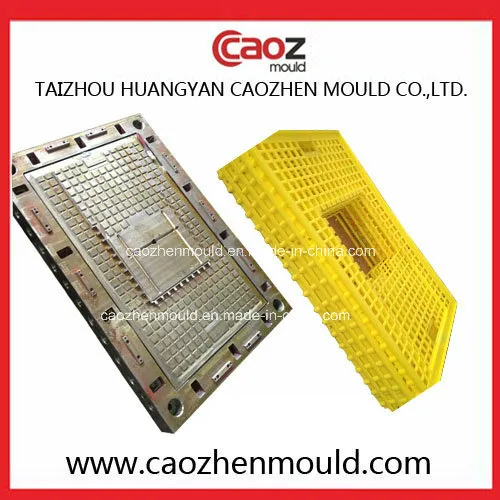 Hot Selling Plastic Injection Poultry Crate Mould