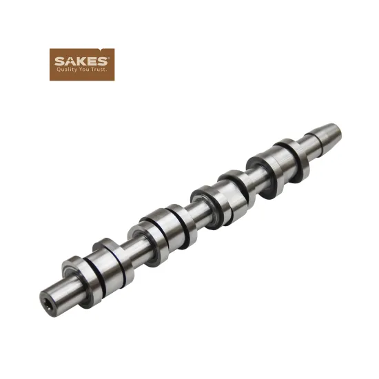 2024 Hot Selling OE 03G 109 101 A Car Camshaft for V.W or AUDL - Cheap Price