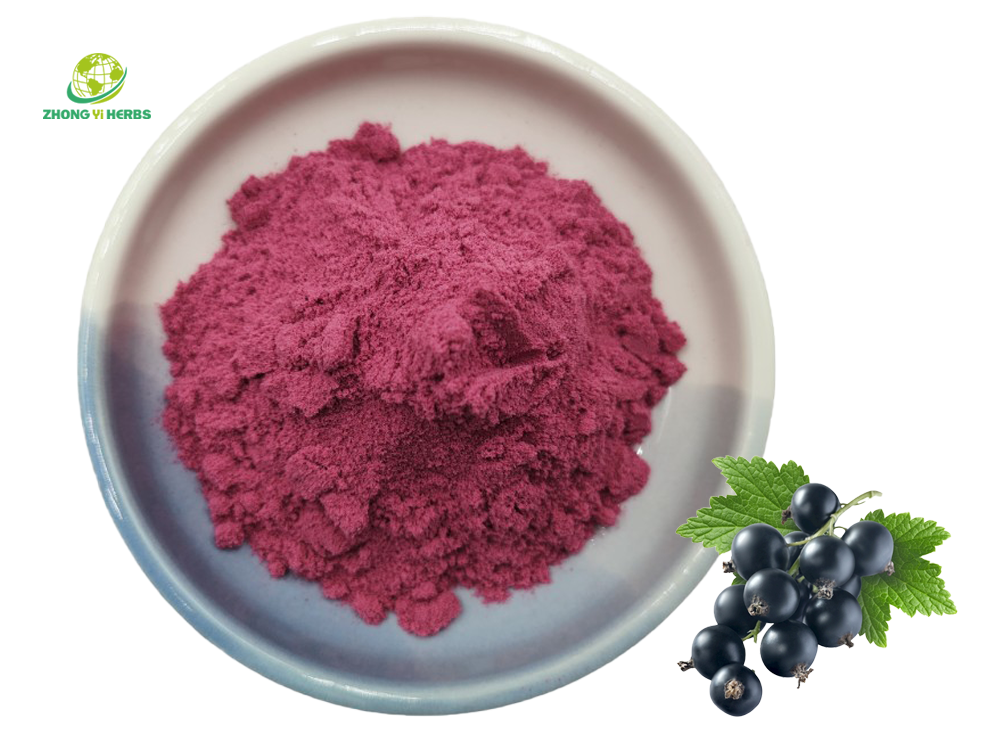 Black currant powder