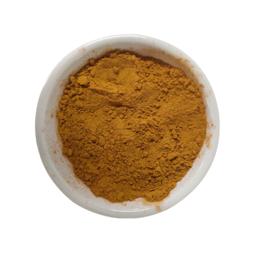 fornitura di fabbrica sciencarin cascara sagrada corteccia estratto in polvere 8% idrossi-antrachinone in magazzino