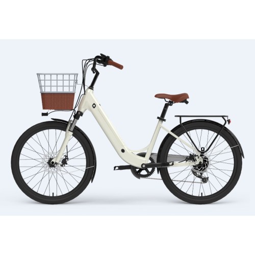 Best Buy Elektrofahrrad mit Korb