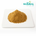 Plant Hops Extract Flavonoids 5% powder