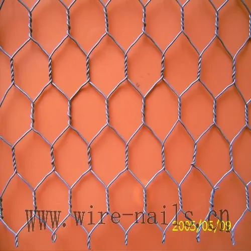 electro galvanized hexagonal wire netting