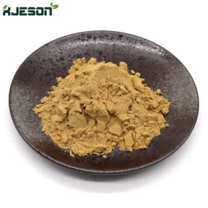 XJeson Hawthorn Extract Hawthorn 5%-30% Flavonoids